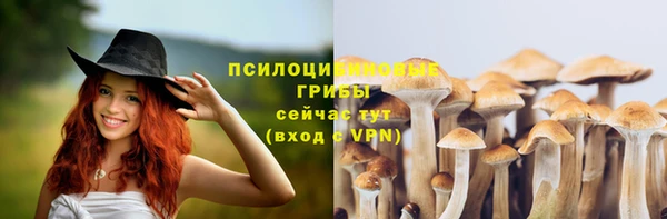 apvp Бугульма