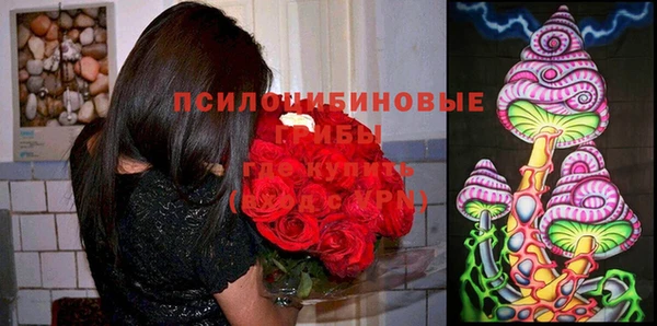 ПСИЛОЦИБИНОВЫЕ ГРИБЫ Верхний Тагил