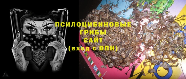 apvp Бугульма