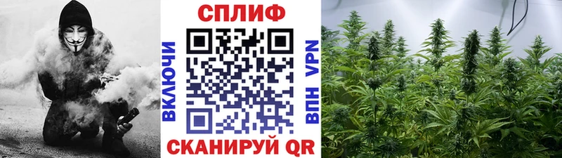 наркошоп  Нальчик  Шишки марихуана марихуана 